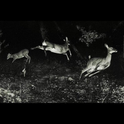 Wordcolour - The trees were buzzing, and the grass. (Vinyl) { vinyl }