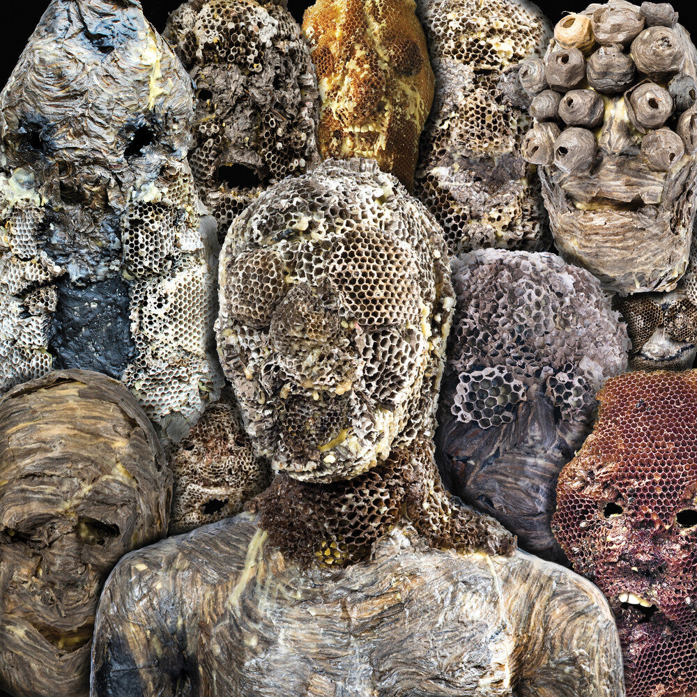 Metal Preyers - Shadow Swamps (Can) (LP) { vinyl }