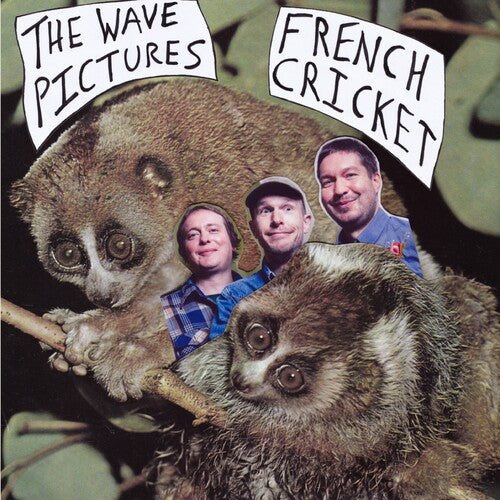 The Wave Pictures - French Cricket (Vinyl) { vinyl }