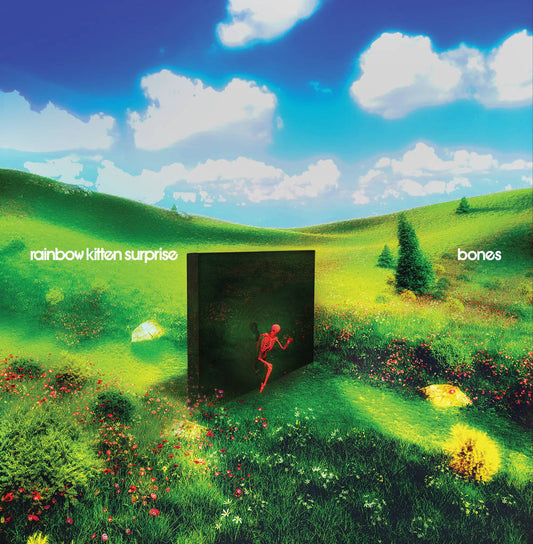 Rainbow Kitten Surprise- bones { vinyl }