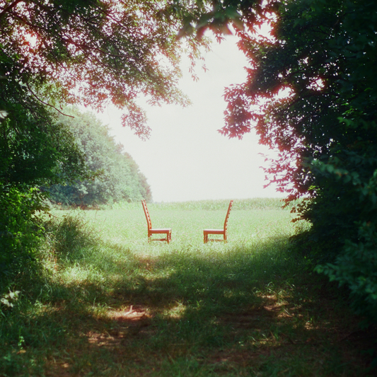 Ratboys- Singin' to an Empty Chair [Indie Exclusive Autographed opaque green color 2LP] { vinyl }