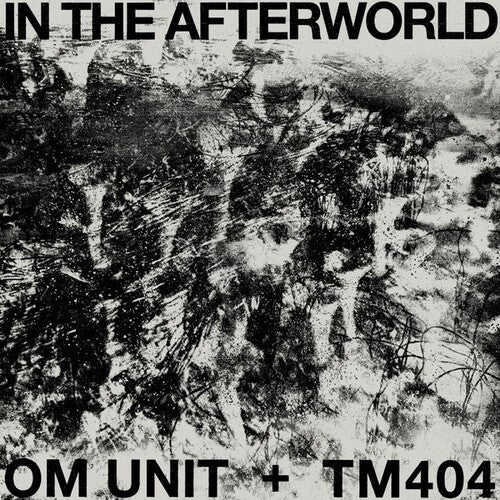In The Afterworld (Vinyl) { vinyl }