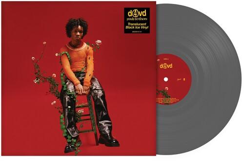 D4VD- Petals To Thorns { vinyl }
