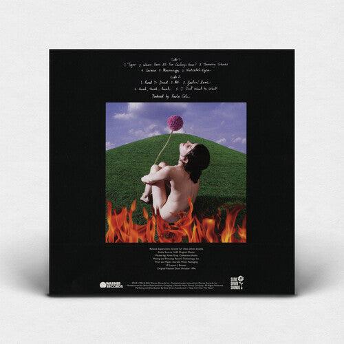 Paula Cole- This Fire (Indie Exclusive Blue Vinyl) { vinyl }