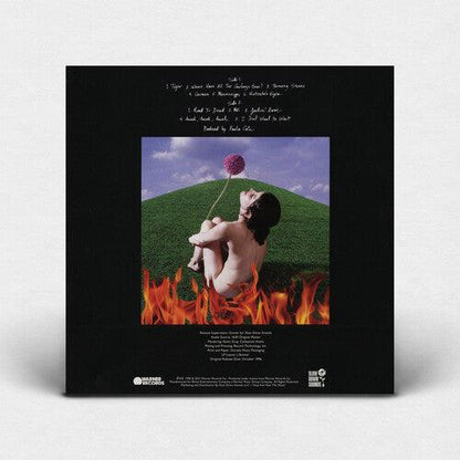Paula Cole- This Fire (Indie Exclusive Blue Vinyl) { vinyl }