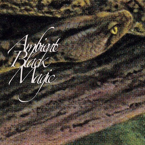 Rainforest Spiritual Enslavement - Ambient Black Magic (Vinyl) { vinyl }