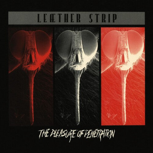 Leather Strip - Pleasure Of Penetration - Red (Vinyl) { vinyl }
