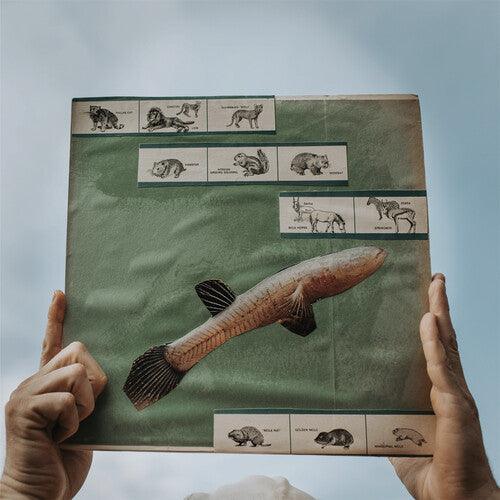 Cotton Jones- The River Strumming { vinyl }