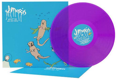 J Mascis (Dinosaur Jr.)- What Do We Do Now { vinyl }