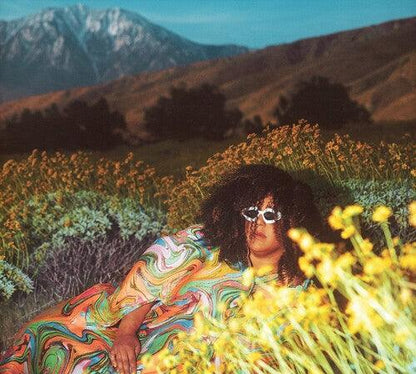 Brittany Howard- What Now { vinyl }