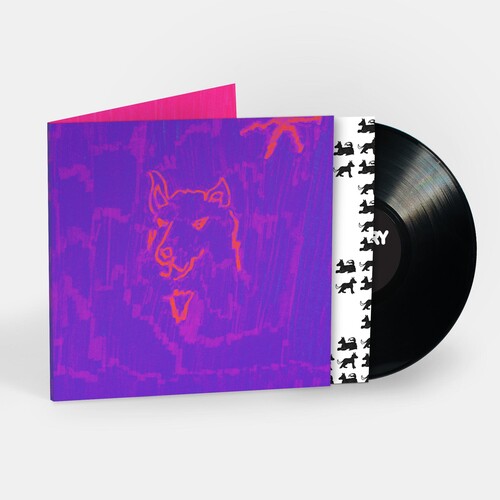 Dehd - Poetry (Vinyl) { vinyl }
