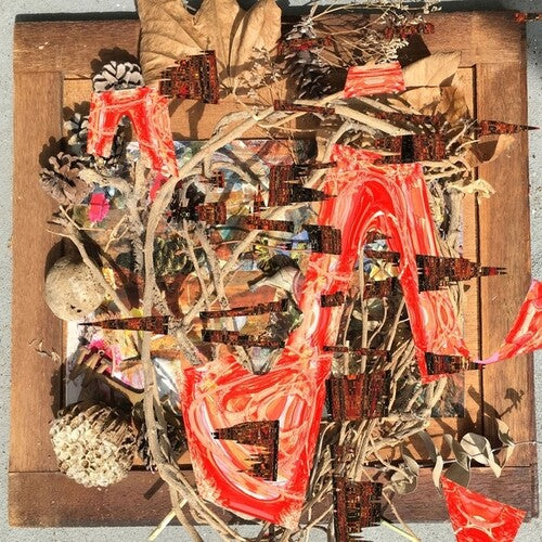 Merzbow - Tsubute Mosaic (Vinyl) { vinyl }
