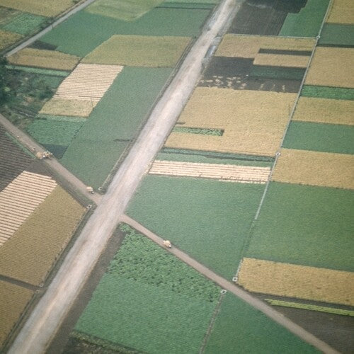 Celer - Perfectly Beneath Us (Vinyl) { vinyl }