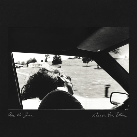 Sharon Van Etten- Are We There (10 Year Anniversary Edition) [Colored Vinyl] { vinyl }