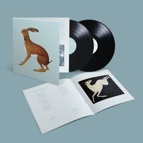 Vashti Bunyan- Lookaftering - Expanded { vinyl }