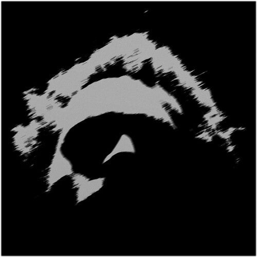 Benjamin Booker- Lower { vinyl }