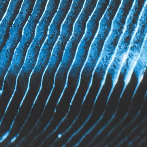 Monolake - Gravity (Vinyl) { vinyl }