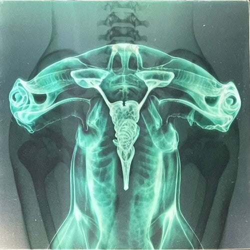 Eartheater - Shark Brain / Dolphin - Glow in the Dark (Vinyl) { vinyl }