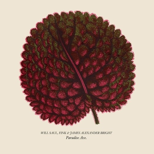 Paradise Ave (Vinyl) { vinyl }