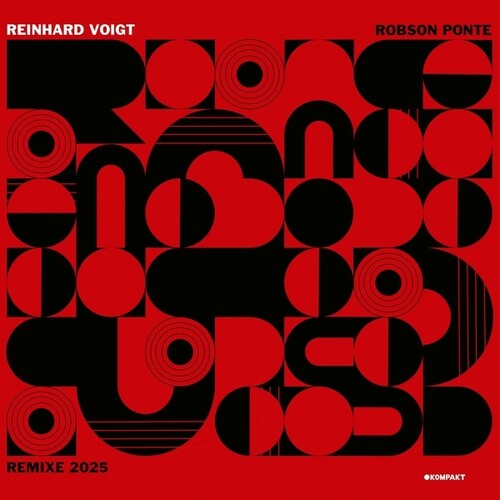 Reinhard Voigt - Robson Ponte Remixe 2025 (Vinyl) { vinyl }