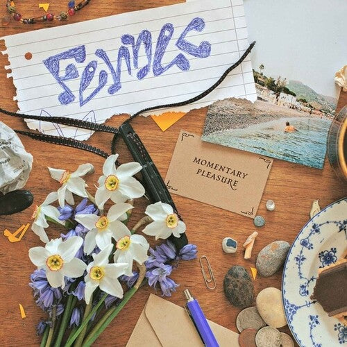 Fennec - Momentary Pleasure (Vinyl) { vinyl }
