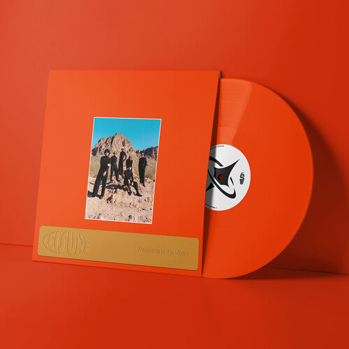 Leisure- Welcome to the Mood { vinyl }