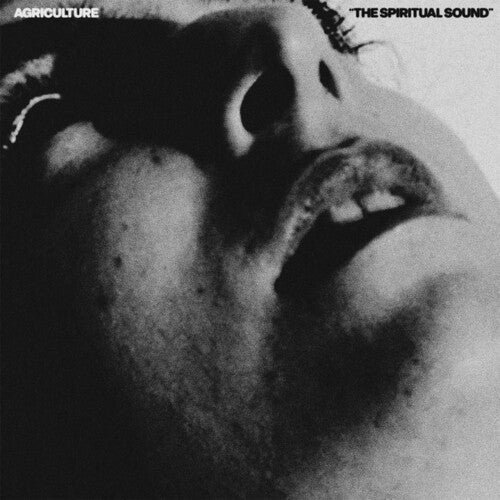 Agriculture- The Spiritual Sound { vinyl }