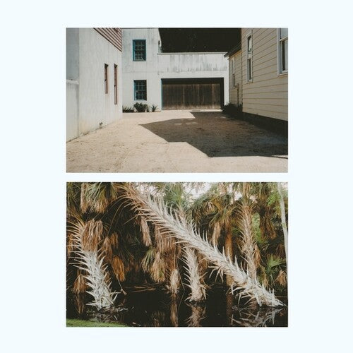 The Vestige (Vinyl) { vinyl }