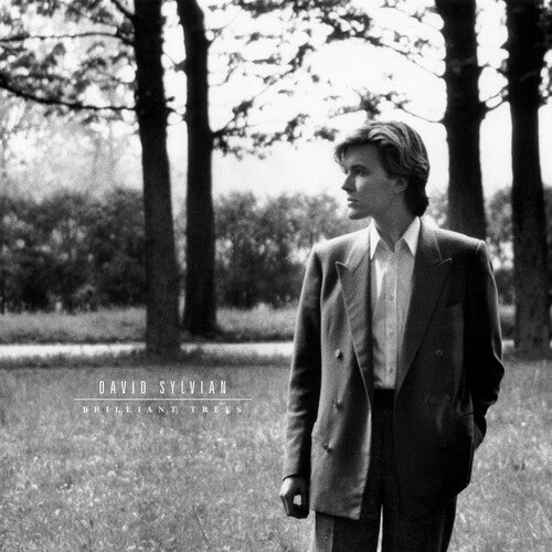 David Sylvian- Brilliant Trees - Olive Opaque Black { vinyl }