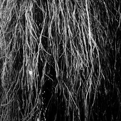 Eraldo Bernocchi - Nocturnal Rainforest (Vinyl) { vinyl }
