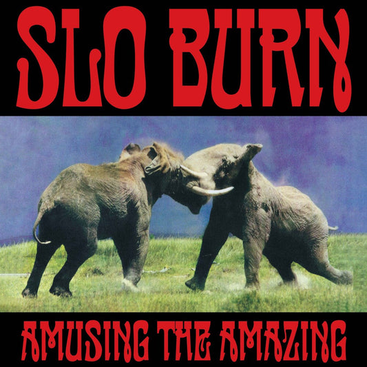 Slo Burn- Amusing The Amazing [RSD Black Friday 2025] { vinyl }