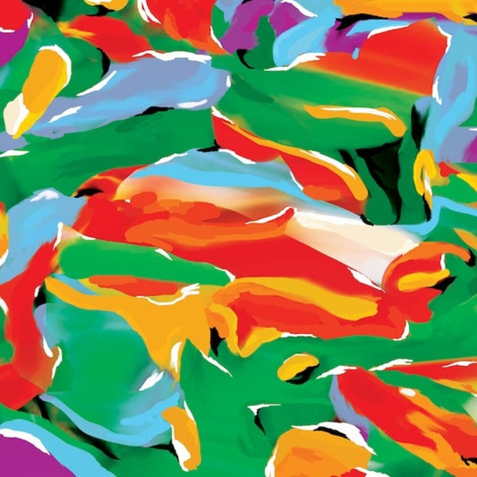 Auntie Flo - Birds Of Paradise (LP) { vinyl }