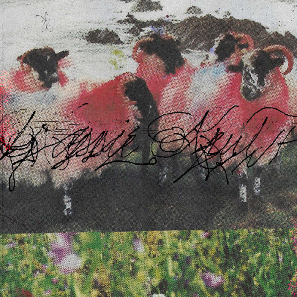 Kassie Krut - Kassie Krut (LP) { vinyl }