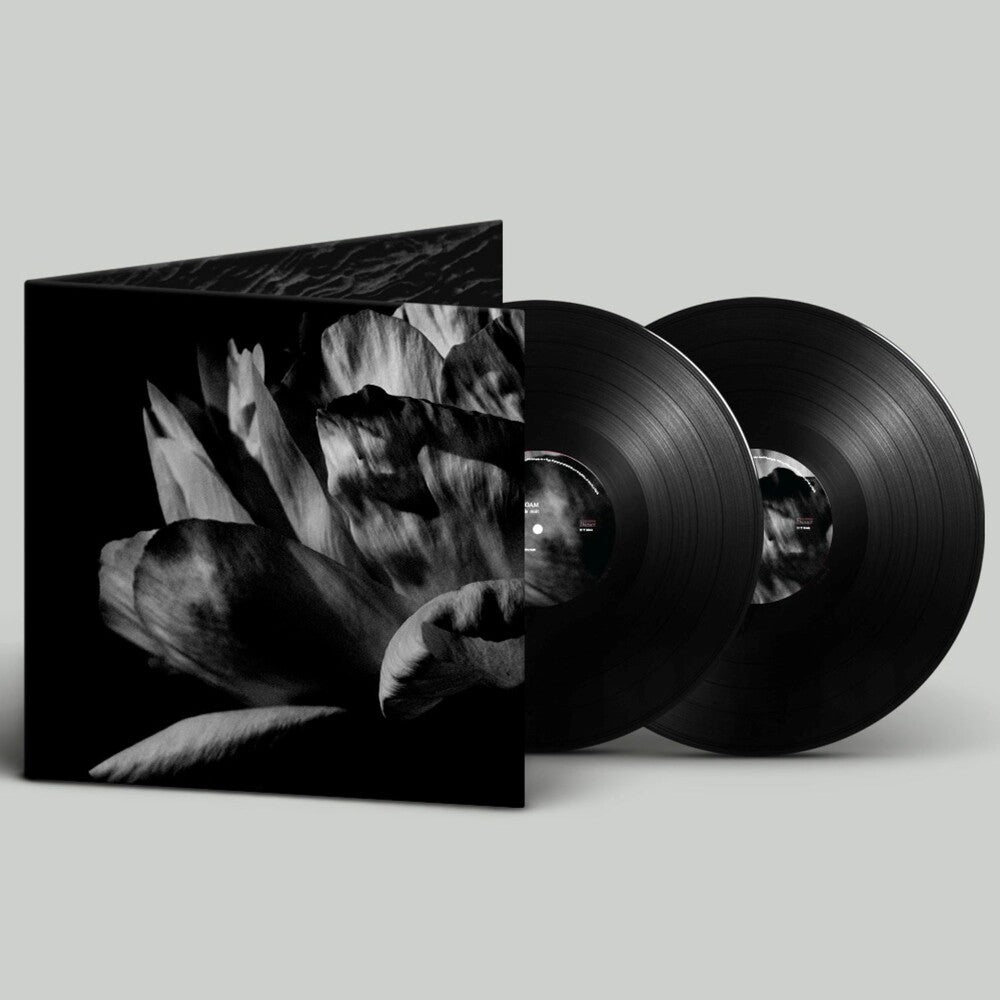 [PRE-ORDER] Louise Roam - La Ou Passe La Nuit (LP) { vinyl }