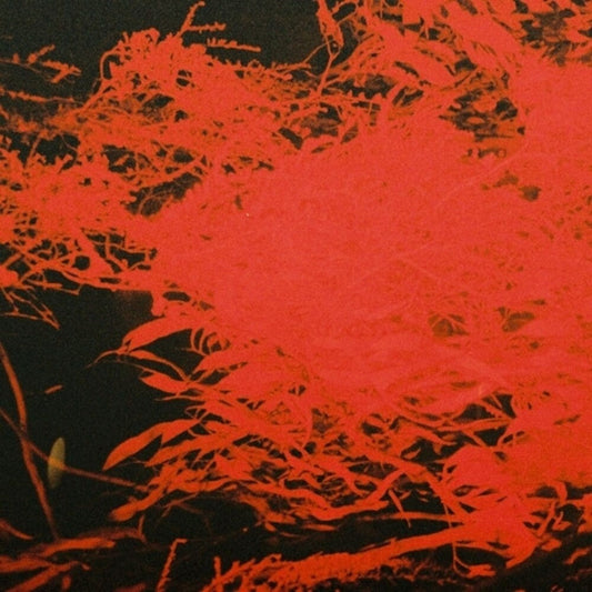 Anthony Naples - In Studio Magic (LP) { vinyl }