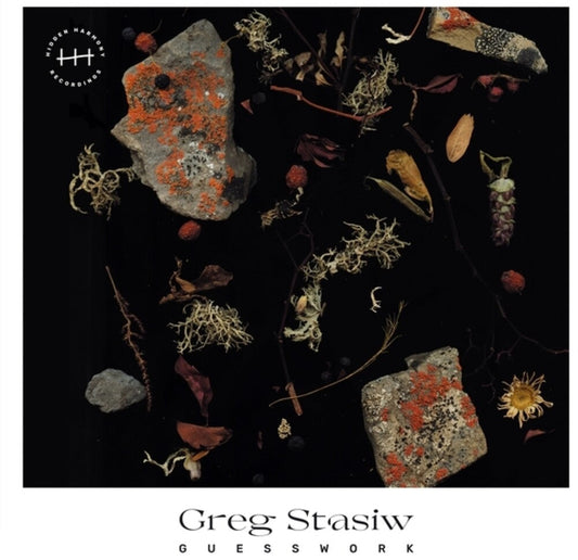 Greg Stasiw - Guesswork (LP) { vinyl }