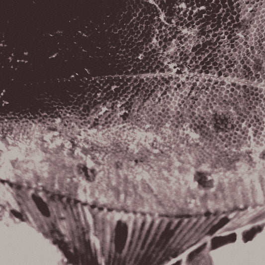 [PRE-ORDER] Mark Ijzerman - Flounder Maps (LP) { vinyl }