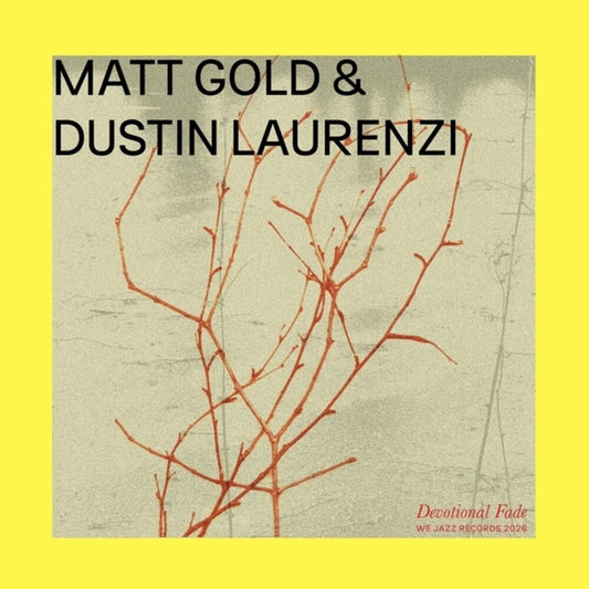 [PRE-ORDER] Matt Gold  / Laurenzi,Dustin - Devotional Fade (LP) { vinyl }