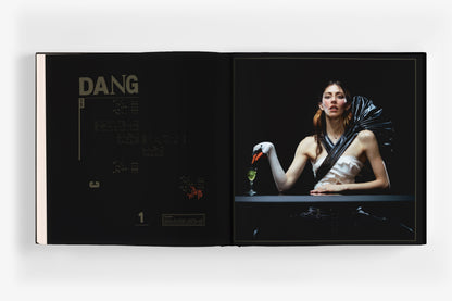 Caroline Polachek- Desire, I Want To Turn Into You: Everasking { vinyl }