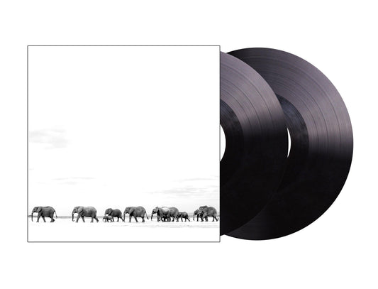 Dave Matthews Band- Where Are You Going: The Singles { vinyl }