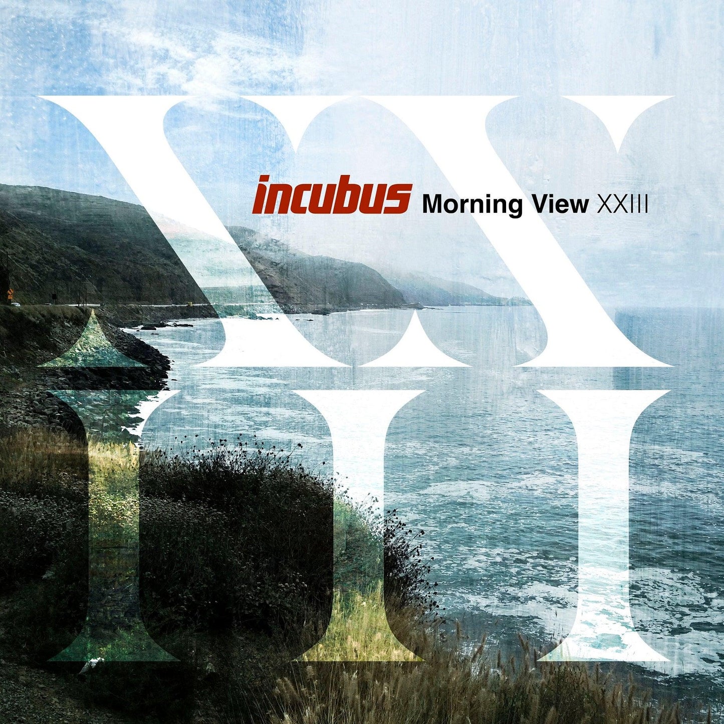 Incubus- Morning View XXIII { vinyl }