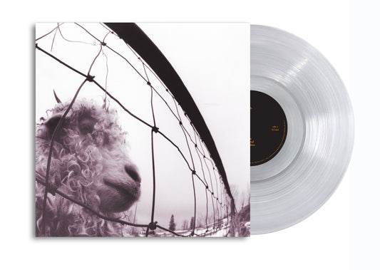 Pearl Jam- Vs. (Clear Vinyl) { vinyl }