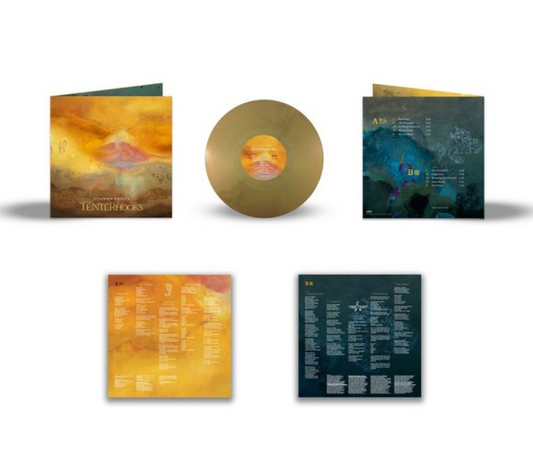 Silversun Pickups- Tenterhooks (Indie Exclusive Vinyl) { vinyl }