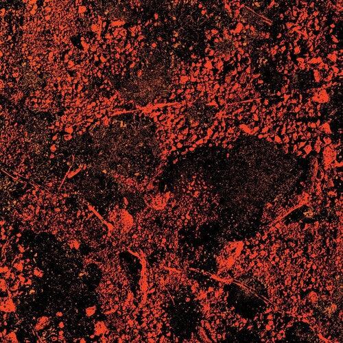 King Gizzard and the Lizard Wizard- Murder Of The Universe (Live At Red Rocks 2022) { vinyl }