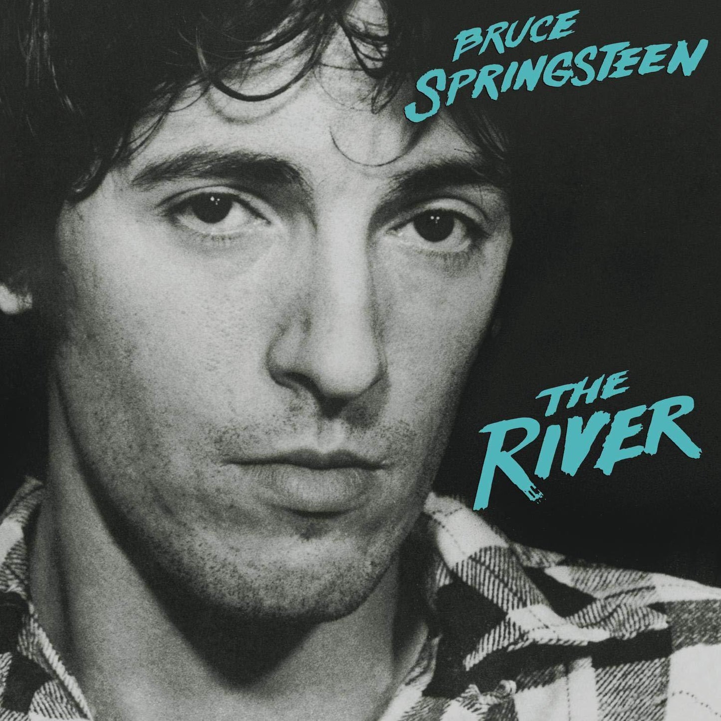 Bruce Springsteen- The River { vinyl }