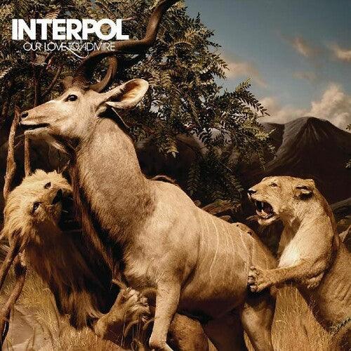 Interpol- Our Love To Admire { vinyl }