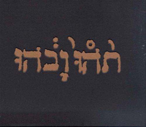 Godspeed You! Black Emperor- Slow Riot For New Zero Kanada E.P. { vinyl }