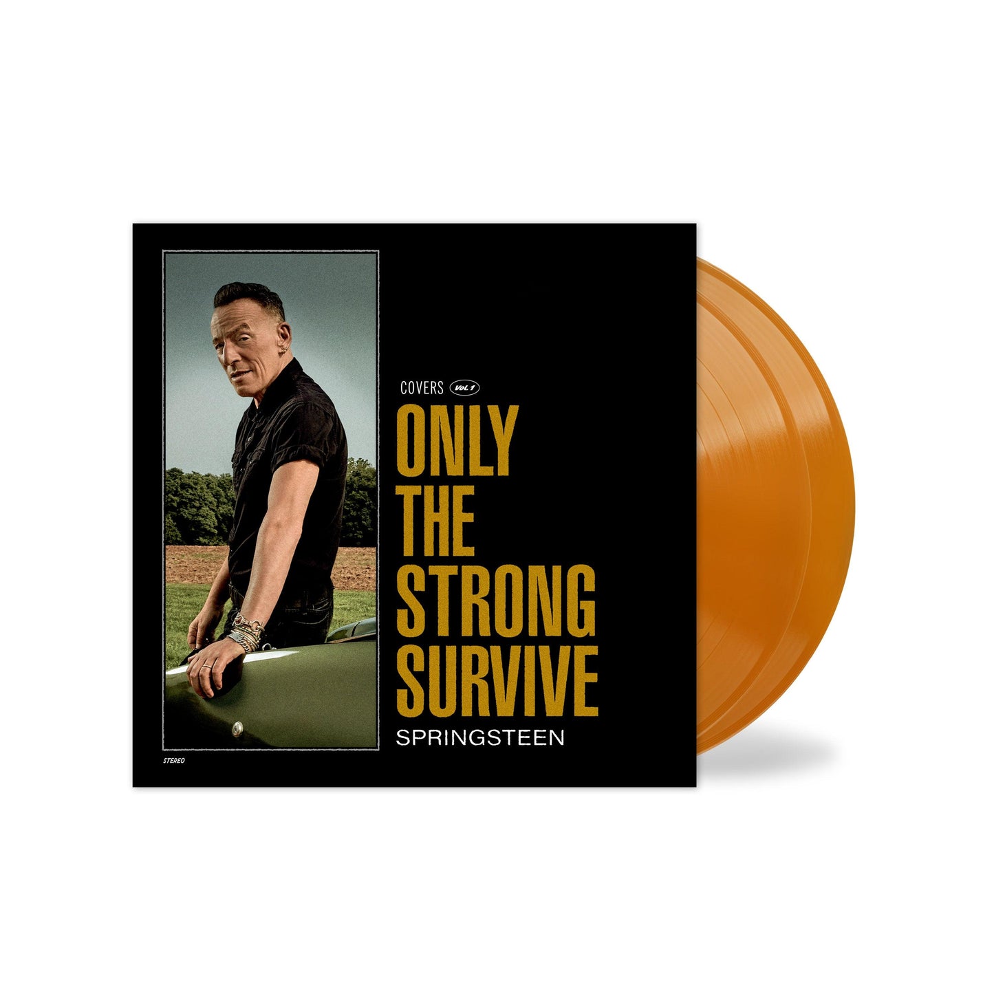 Bruce Springsteen- Only The Strong Survive (Indie Exclusive Orbit Orange Vinyl) { vinyl }