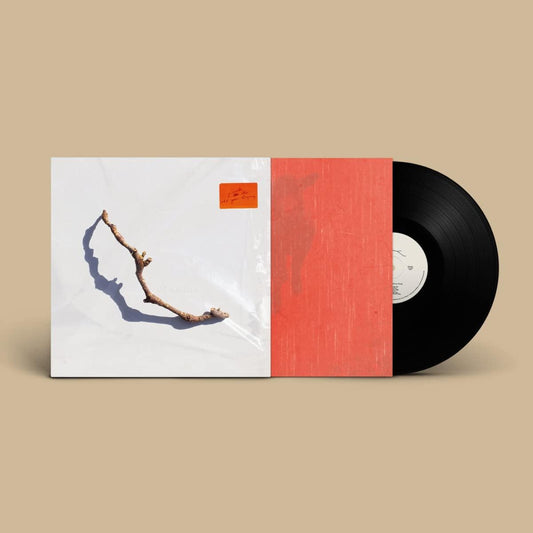 PJ Harvey- I Inside the Old Year Dying { vinyl }