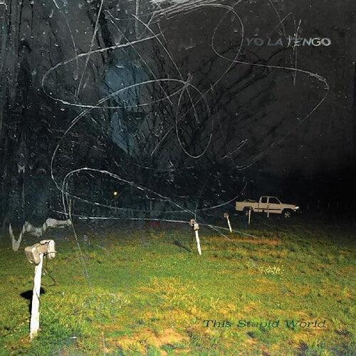 Yo La Tengo- This Stupid World { vinyl }